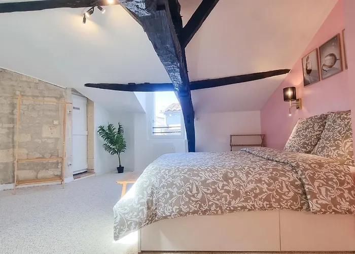 Duplex Le Chai De L'abreuvoir * Saintes